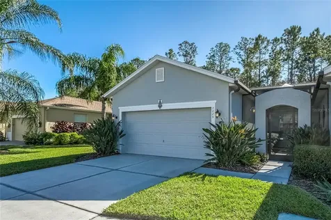 7229 Cleopatra Drive Land O Lakes FL 34637