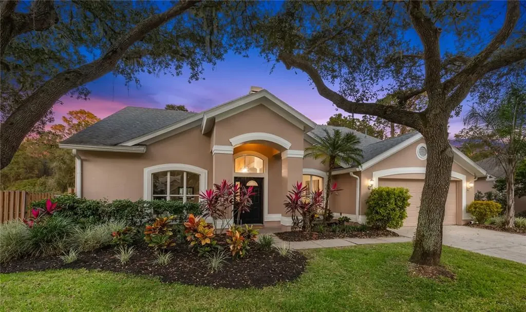 10515 Chambers Drive Tampa FL 33626