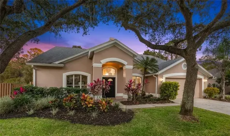 10515 Chambers Drive Tampa FL 33626