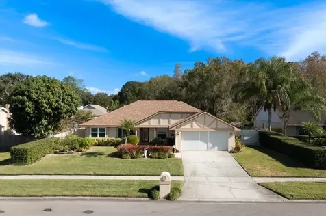 15203 Alexis Drive Tampa FL 33624