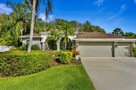 26216 Corkwood Court Land O Lakes FL 34639
