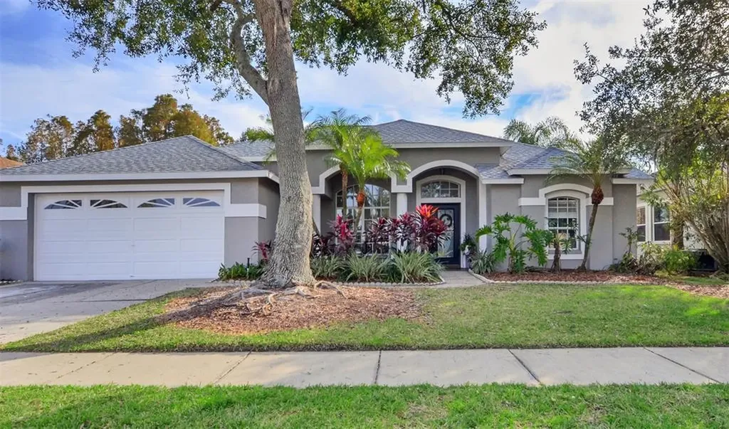 12402 Seabrook Drive Tampa FL 33626