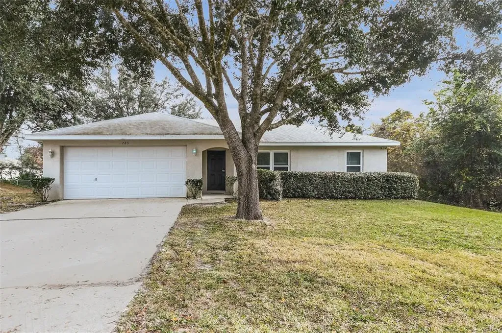 725 S Cedar Avenue Orange City FL 32763