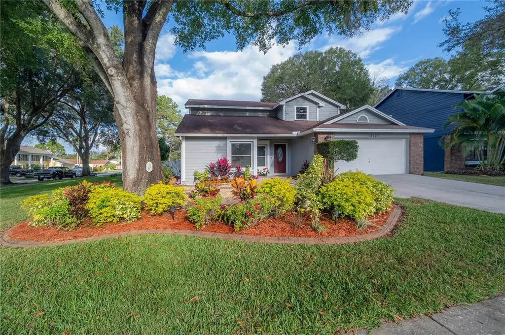 16507 Cranwood Place Tampa FL 33618