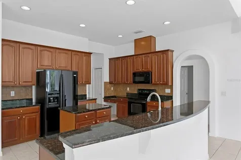 17329 Emerald Chase Drive Tampa FL 33647