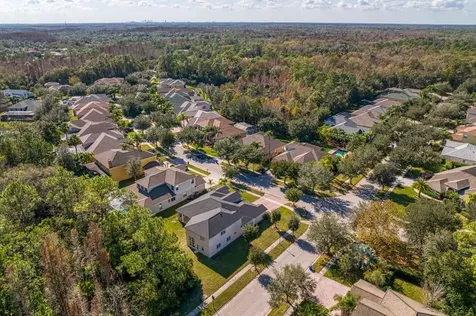 17329 Emerald Chase Drive Tampa FL 33647