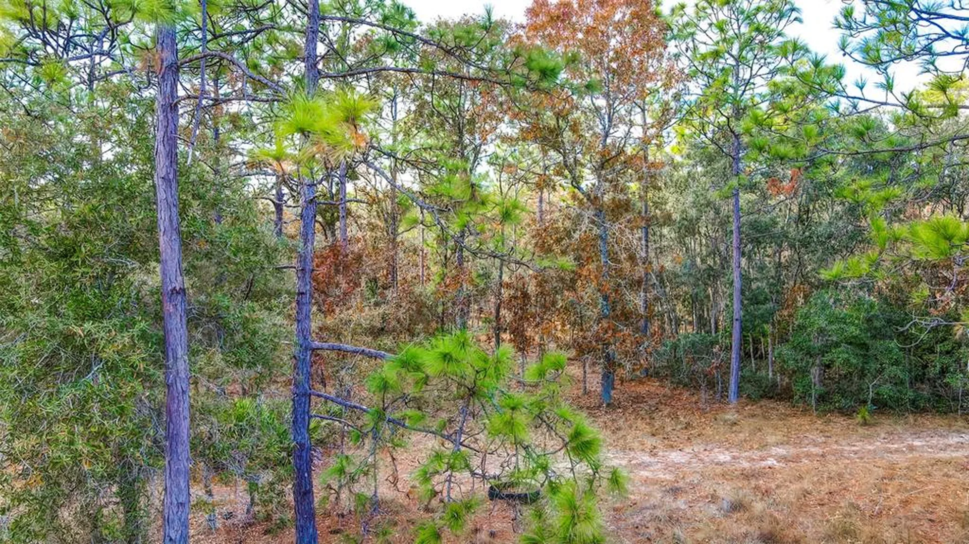 0 Commercial Way Brooksville FL 34614
