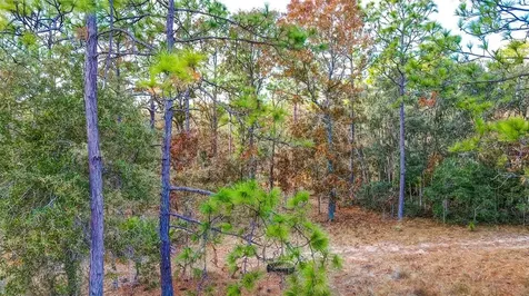 0 Commercial Way Brooksville FL 34614