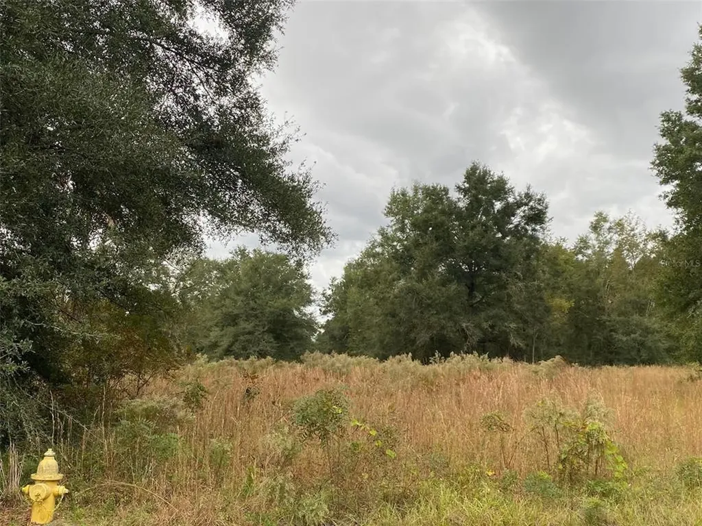 190 SW Thistlewood Lane Fort White FL 32038
