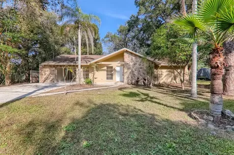 3115 Duane Avenue Oldsmar FL 34677