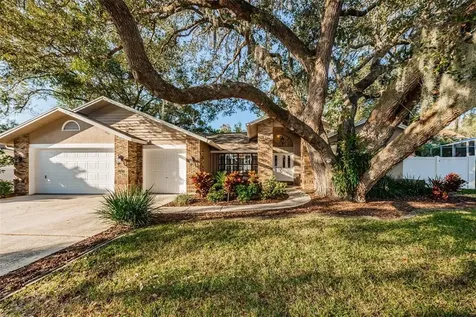 2129 Colusa Court Palm Harbor FL 34683