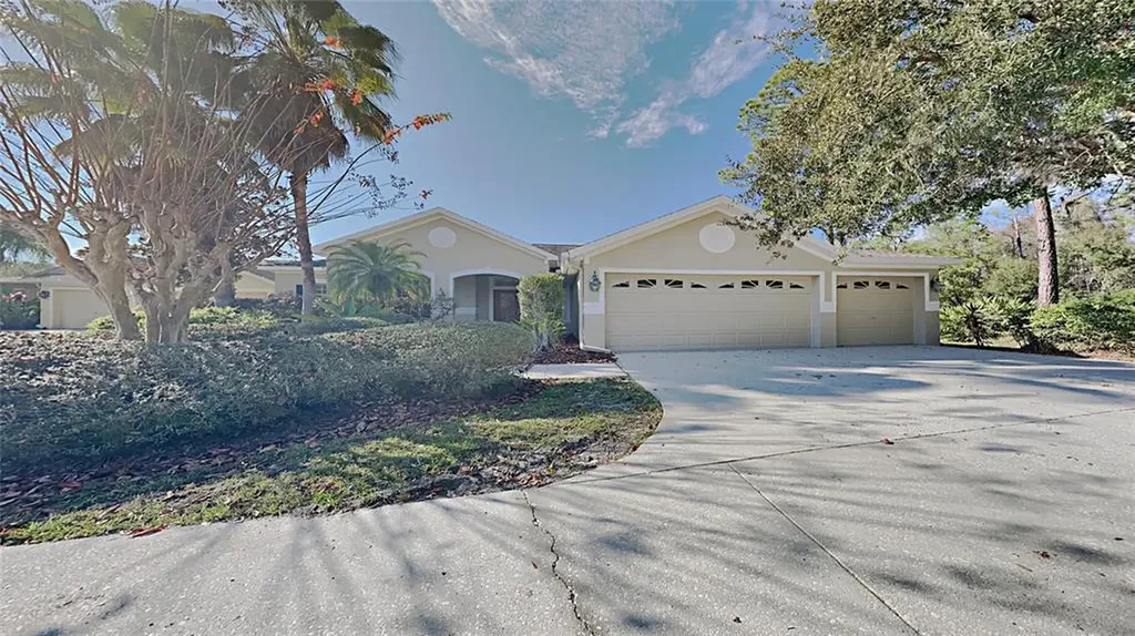16126 Brecon Palms Place Tampa FL 33647