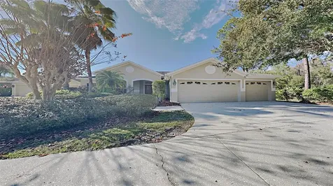 16126 Brecon Palms Place Tampa FL 33647