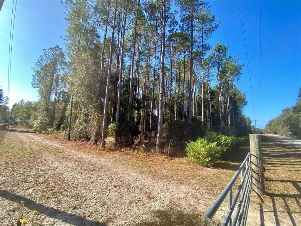 868 SW Cumberland Street Fort White FL 32038