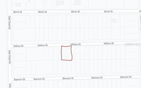 Willow Street Street Interlachen FL 32148