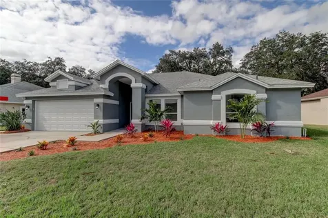 4625 Basswood Street Land O Lakes FL 34639