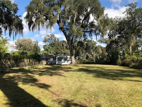 3397 Cr 431 Lake Panasoffkee FL 33538