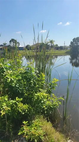 14718 Lillian Circle Port Charlotte FL 33981