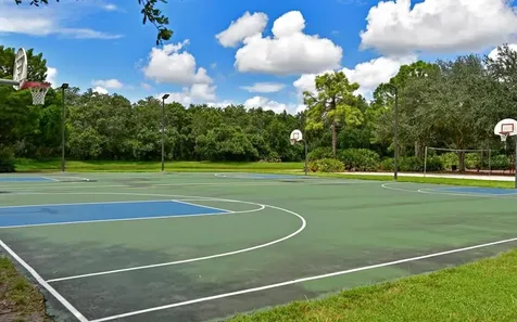 11119 Marigold Drive Lakewood Ranch FL 34202