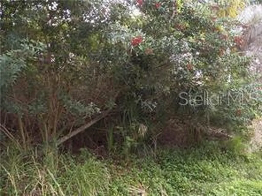 Geneva Road Venice FL 34293