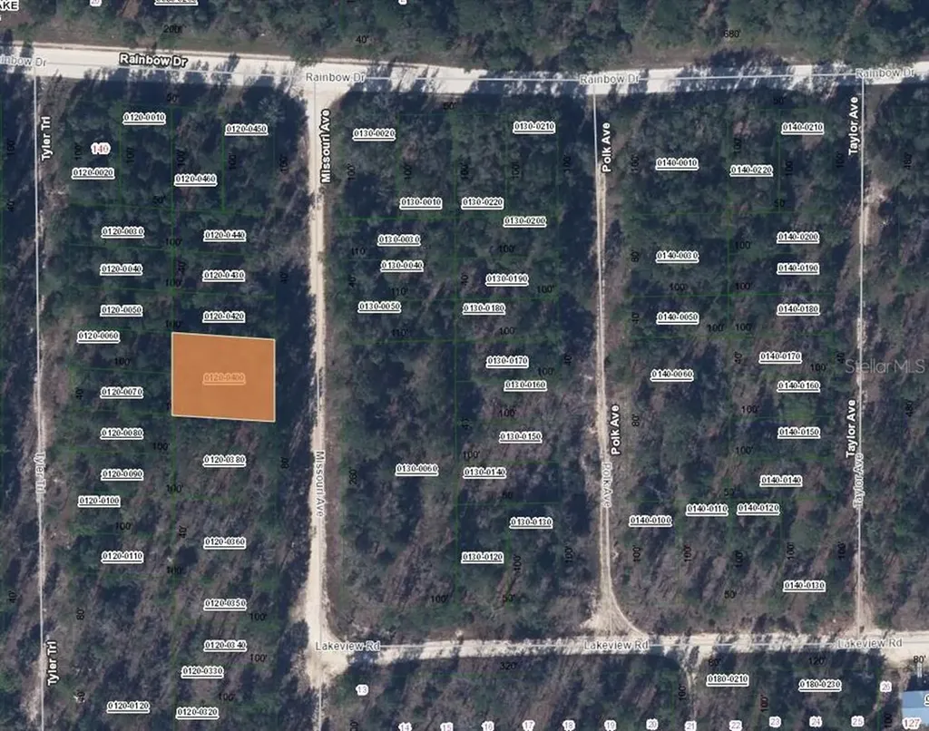 207 Missouri Avenue Hawthorne FL 32640