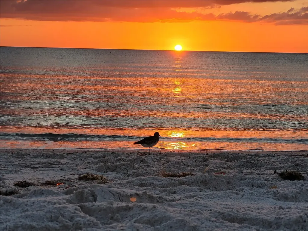 4325 Gulf Of Mexico Drive Longboat Key FL 34228