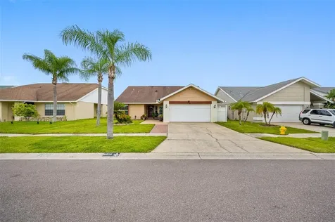 8619 Boysenberry Drive Tampa FL 33635