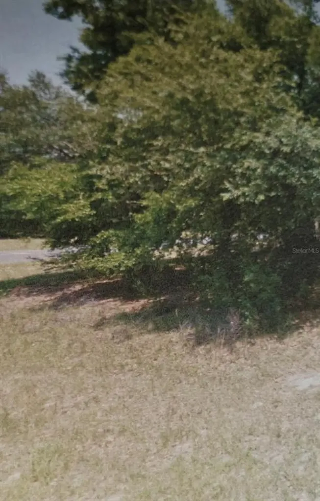 1445 W Hawk Lane Citrus Springs FL 34434