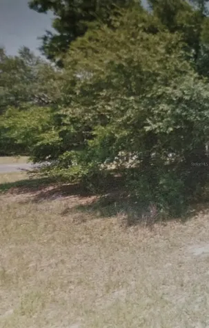 1445 W Hawk Lane Citrus Springs FL 34434