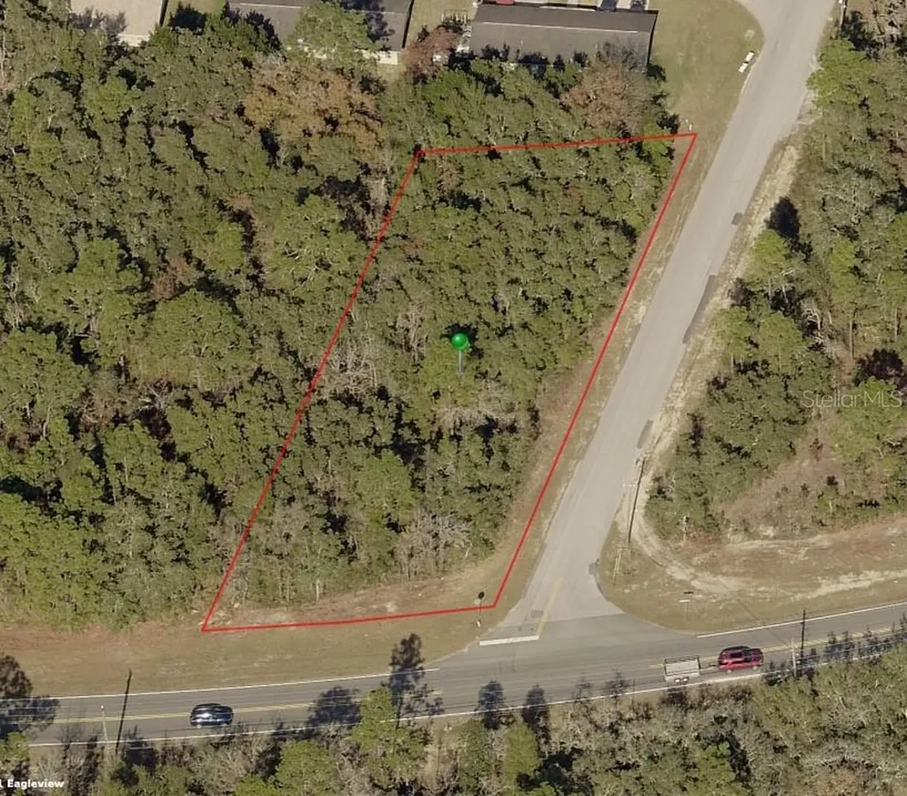 2964 S Coleman Avenue Homosassa FL 34448