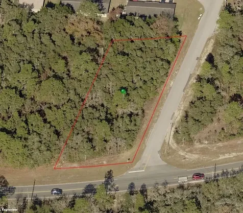 2964 S Coleman Avenue Homosassa FL 34448