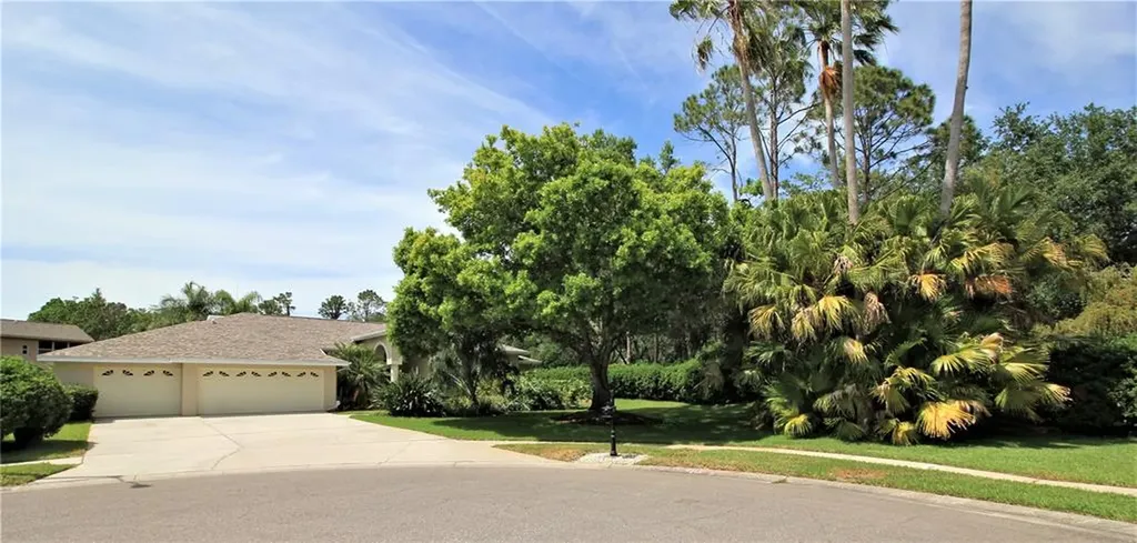 4165 Arlington Drive Palm Harbor FL 34685