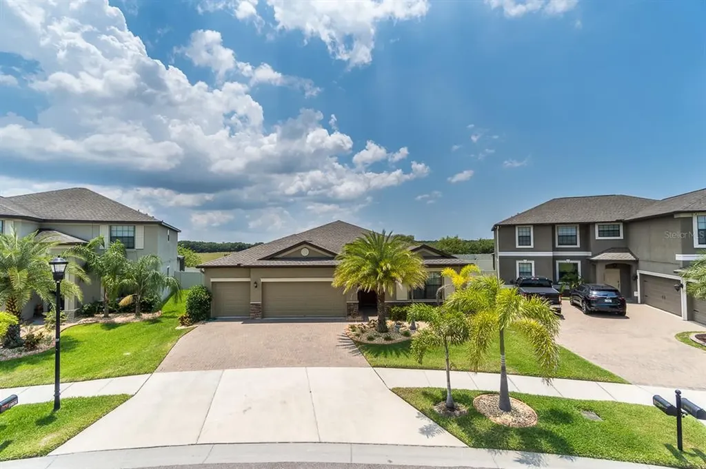 10015 Celtic Ash Drive Ruskin FL 33573