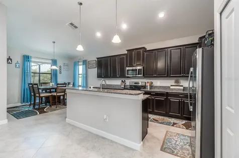 10015 Celtic Ash Drive Ruskin FL 33573