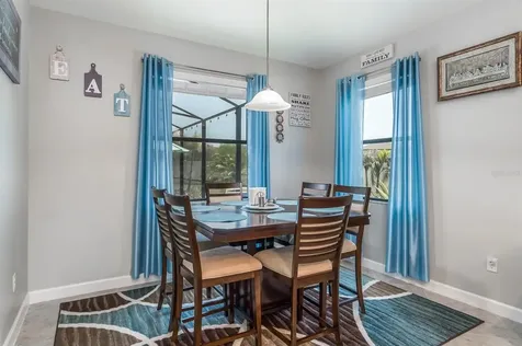 10015 Celtic Ash Drive Ruskin FL 33573