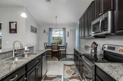 10015 Celtic Ash Drive Ruskin FL 33573