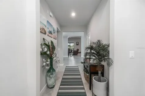 10015 Celtic Ash Drive Ruskin FL 33573