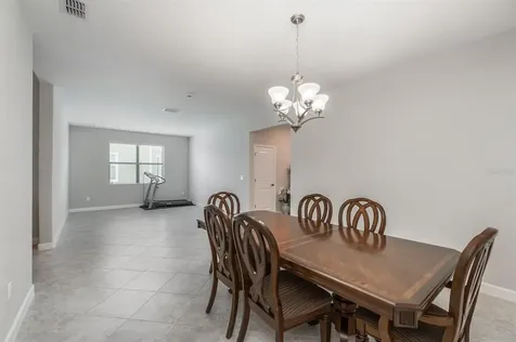 10015 Celtic Ash Drive Ruskin FL 33573