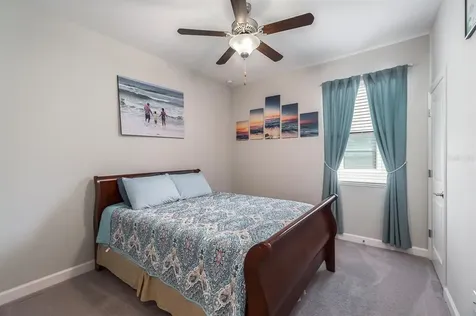 10015 Celtic Ash Drive Ruskin FL 33573