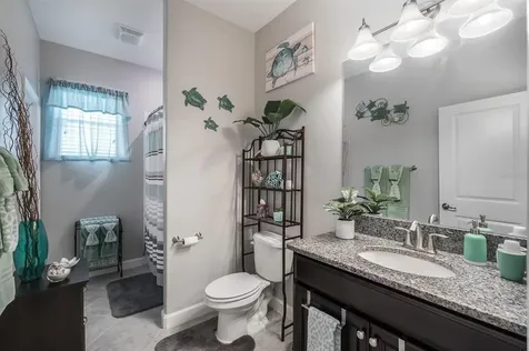 10015 Celtic Ash Drive Ruskin FL 33573