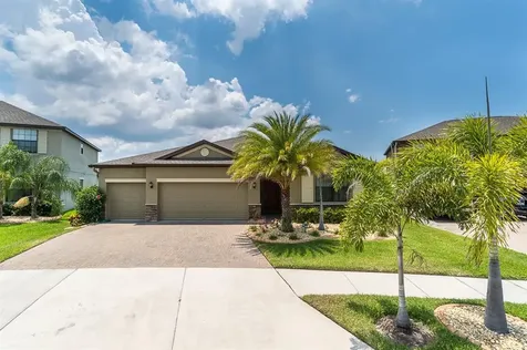 10015 Celtic Ash Drive Ruskin FL 33573