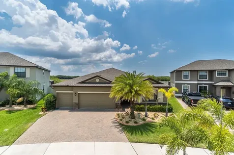 10015 Celtic Ash Drive Ruskin FL 33573