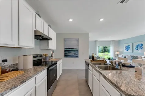 30148 Armenia Road Leesburg FL 34748