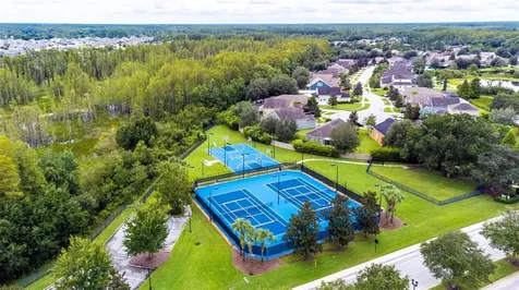 19608 Lonesome Pine Drive Land O Lakes FL 34638