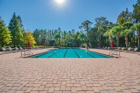 19608 Lonesome Pine Drive Land O Lakes FL 34638