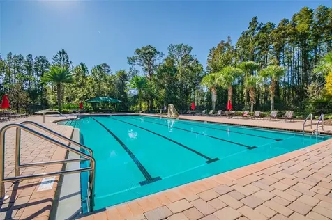 19608 Lonesome Pine Drive Land O Lakes FL 34638