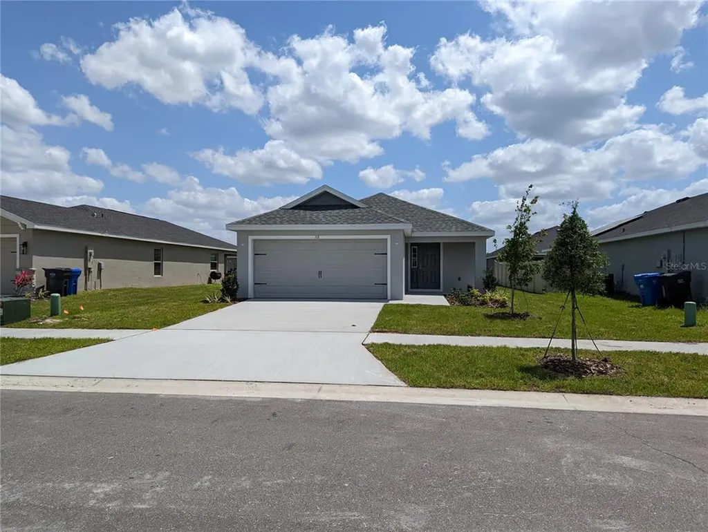 113 Blue Alice Spring Court Ruskin FL 33570