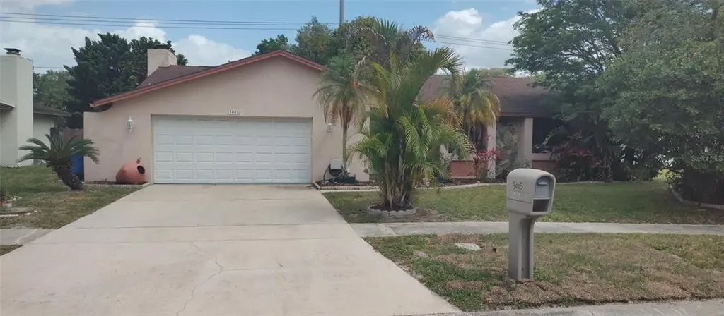 3005 Palmeras Court Tampa FL 33614