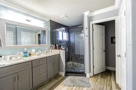 7153 Maysville Court Wesley Chapel FL 33545