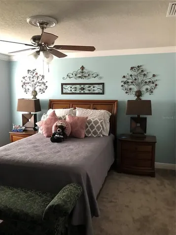 7153 Maysville Court Wesley Chapel FL 33545